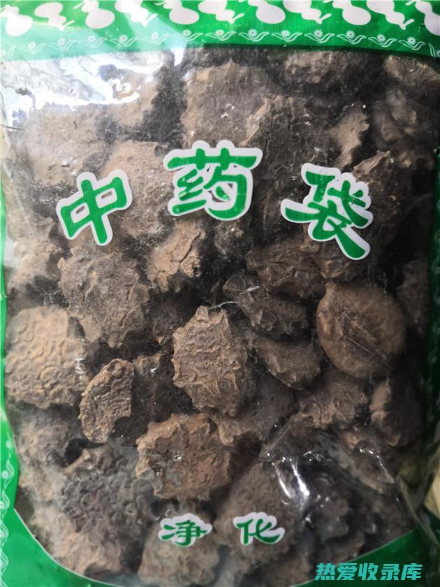 土木鳖的功效与作用 (土木鳖的功效与作用及禁忌)