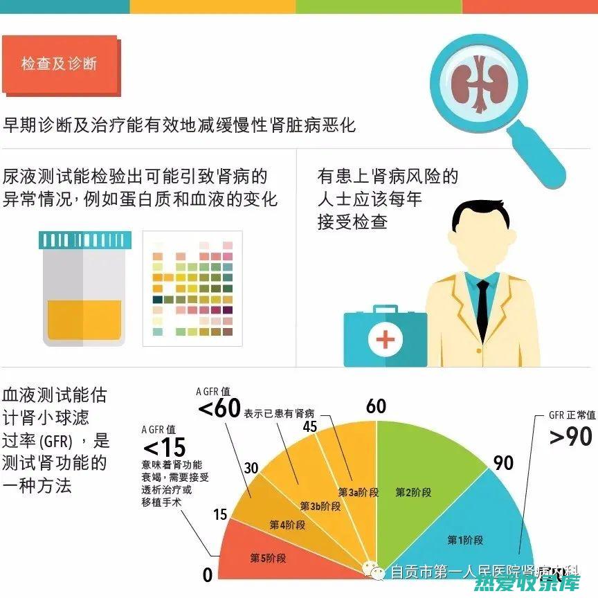 提高肾脏健康的保肾中药