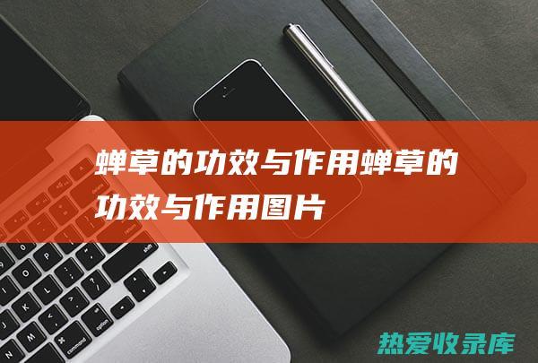 蝉草的功效与作用： (蝉草的功效与作用图片)