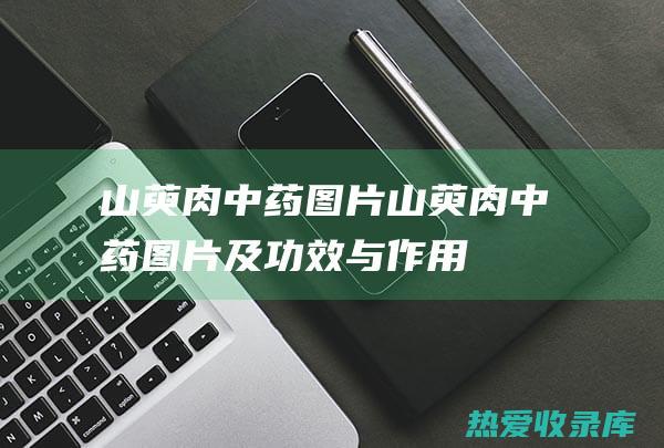 山萸肉中药图片山萸肉中药图片及功效与