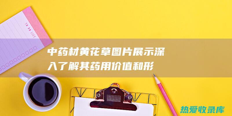 中药材黄花草图片展示：深入了解其药用价值和形态特征 (中药材黄花草图片)