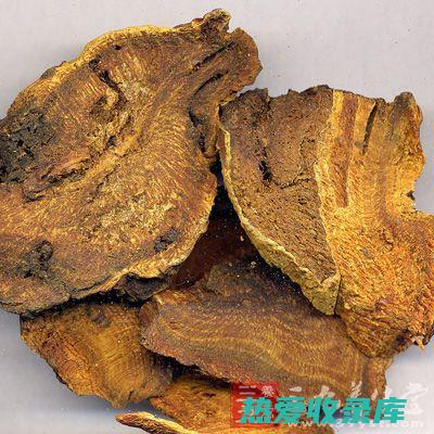 中药大黄：功效、用途和使用注意事项 (中药大黄功效与作用是什么)