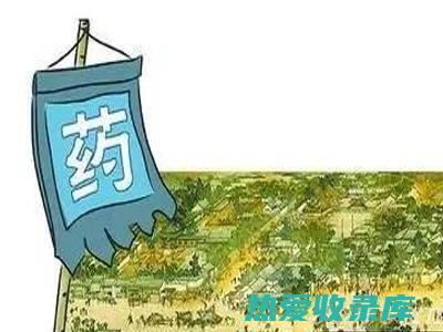 引经中药：古代中医药宝库中的隐秘疗法 (中药引经药歌诀解释)