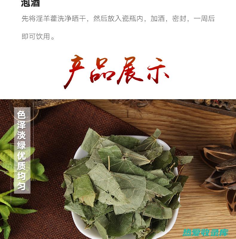 中药淫羊霍的药效：壮阳补肾