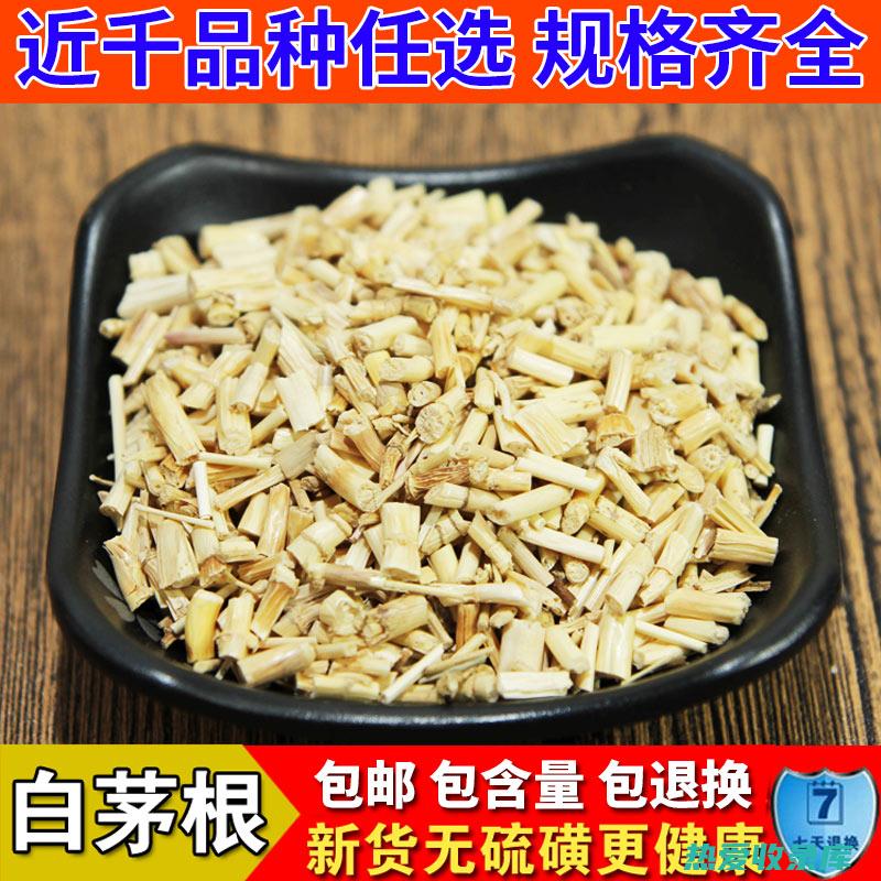 中药白毛根的药用价值：消炎止痛、抗病毒、抗菌、保护肝脏、降血糖 (中药白毛根的功效)