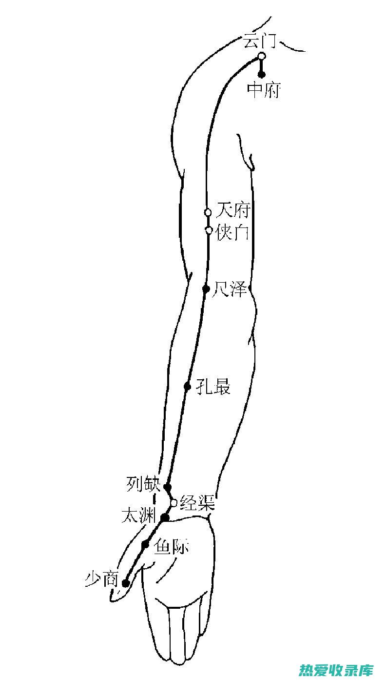 肺经药：忌用于肺热咳嗽、气虚乏力之人。(肺经 药)