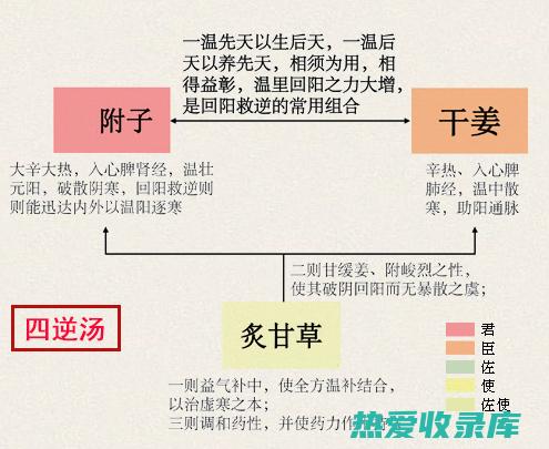 黄连和大黄：中药界的苦味搭档，兼具清热泻火、抗菌消炎功效 (黄连和大黄一起用的功效)