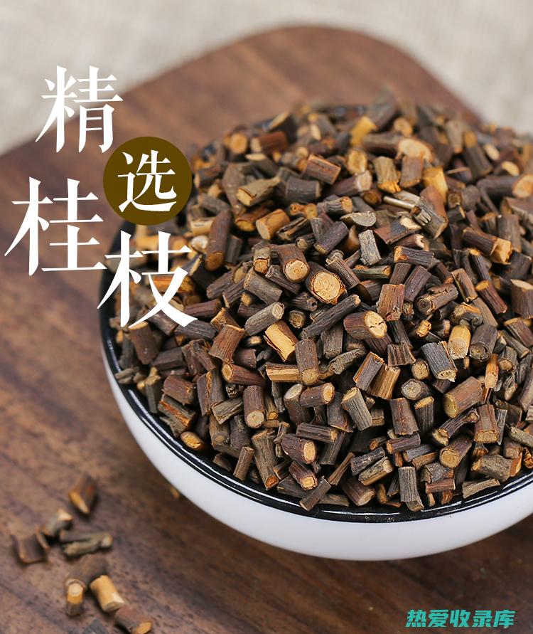 中药桂枝：功效与作用 (中药桂枝功效作用与主治)