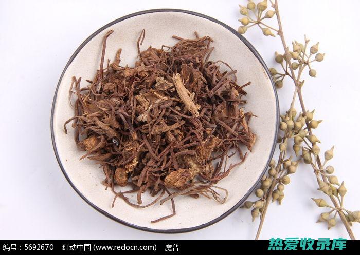 中药材紫苑的种植：从播种到收获的完整指南 (中药材紫苑的图片)