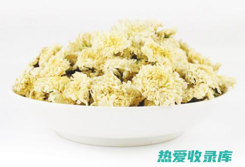 贡菊的功效与禁忌：神奇的药用花卉，了解其益处和使用指南 (贡菊的功效与作用泡水喝的功效)