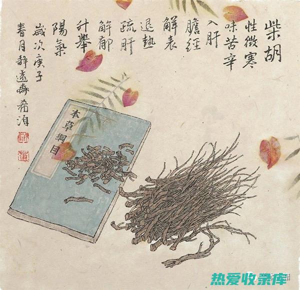 肺炎中药方剂：传统医学疗法的宝库 (小儿肺炎中药方剂)