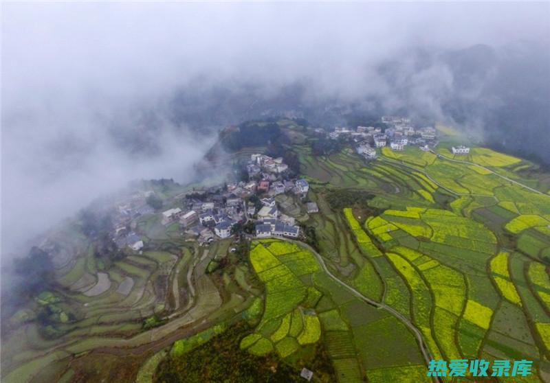 贵州适合种植什么名贵药材