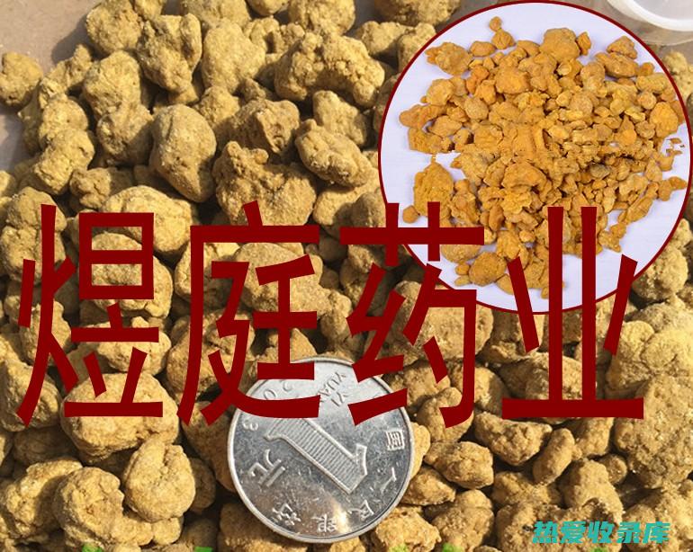 中药阿魏的功效 (中药阿魏的功效及应用)