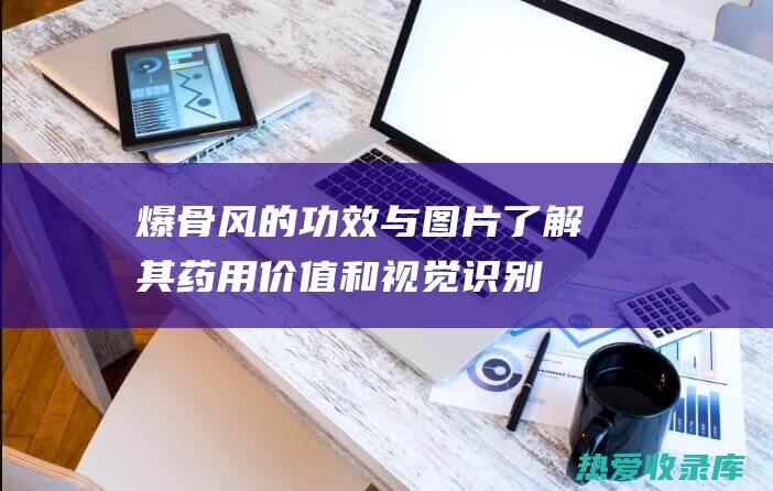 爆骨风的功效与图片 - 了解其药用价值和视觉识别 (爆骨风的作用与功效)