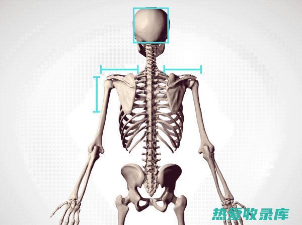 冬麻的神奇功效：揭开抗炎、抗菌、降压等多重健康益处 (冬麻的神奇功能是什么)