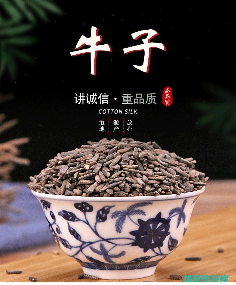 中药牛蒡子的功效与作用：预防感冒、增强免疫力、抗菌消炎、促进肠胃健康、降血压、保护肝脏 (中药牛蒡子的功效与作用)