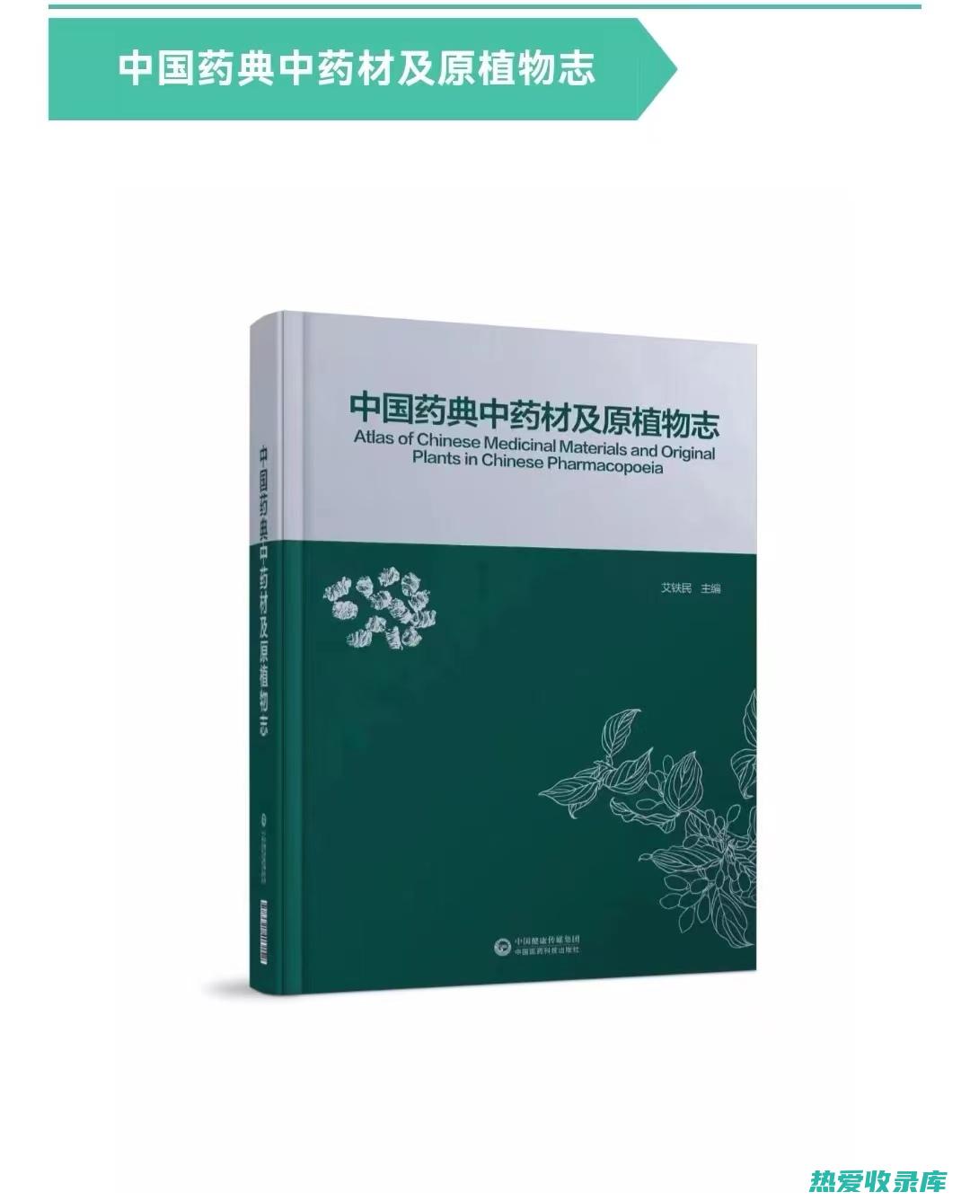 中药的药用：古老疗法中的自然疗愈 (中药的药用部位)