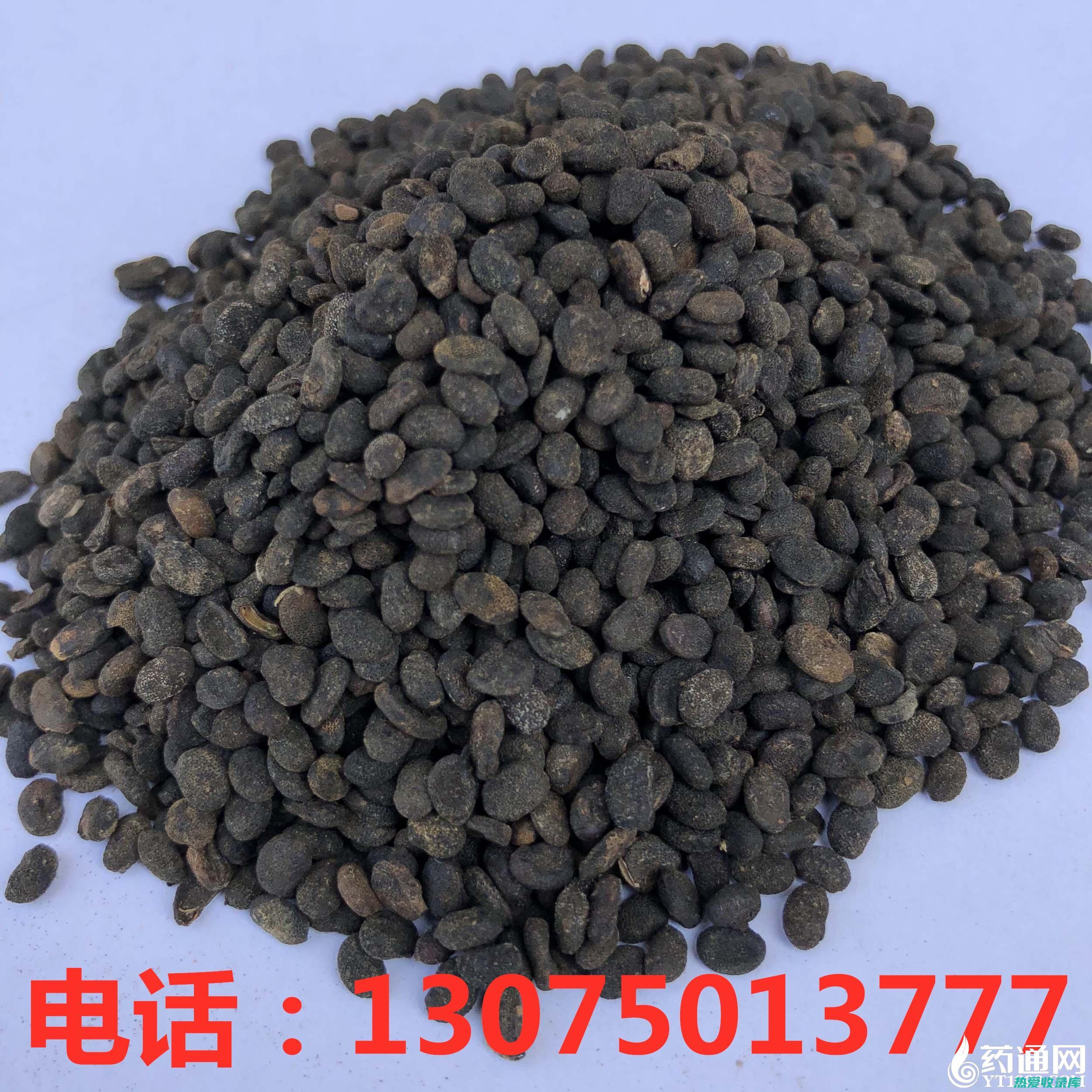 补骨脂 10g(补骨脂10g和炙甘草6g)