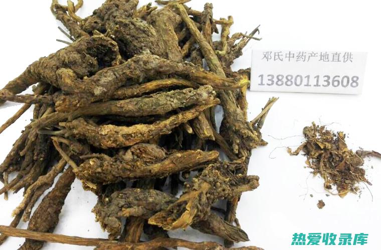 枯芩的功效与作用 (枯芩的功效与作用的功能与主治)