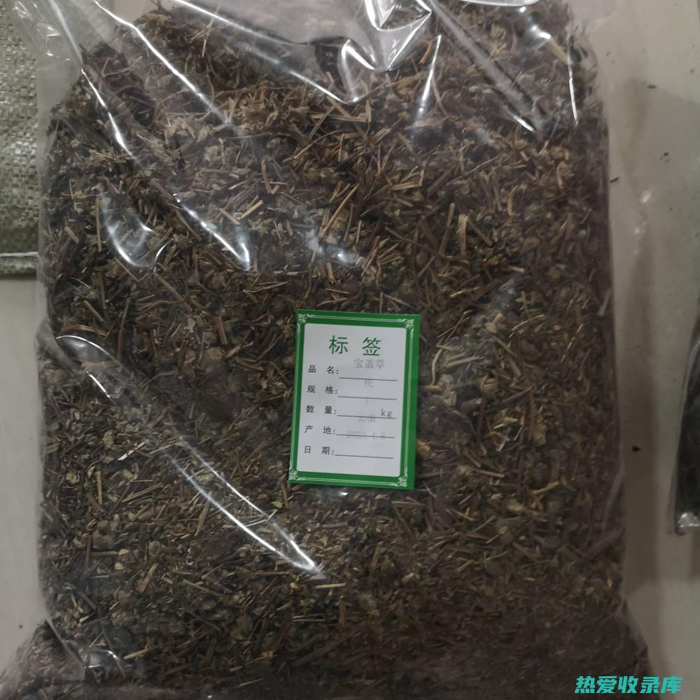 连钱草的功效与作用：深入了解这种传统草药的健康益处 (连钱草的功效与作用点的功效与作用)