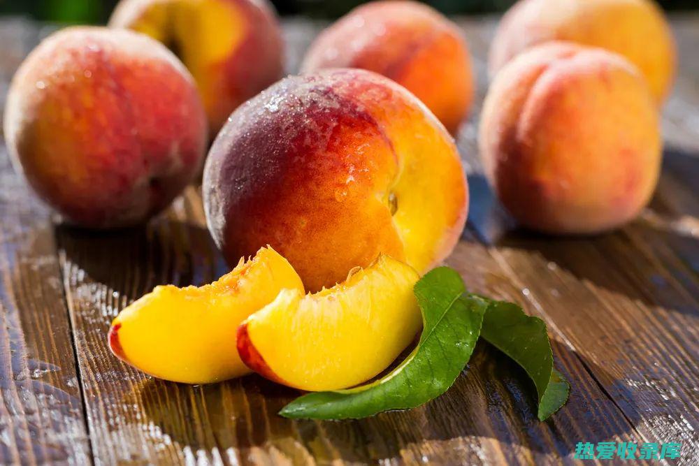 润肠通便：桃子含有丰富的膳食纤维，可以促进肠道蠕动，帮助排便。(润肠通便桃子)