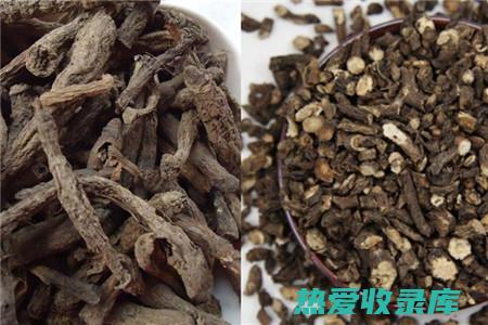 仙茅中药功效：强健筋骨，补肾益精，利尿消肿，消炎解毒 (仙茅中药功效和使用方法)