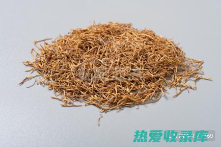 抱石莲的药用功效