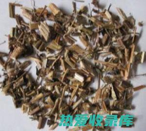 鬼针草的功效 (鬼针草的功效与作用与主治)