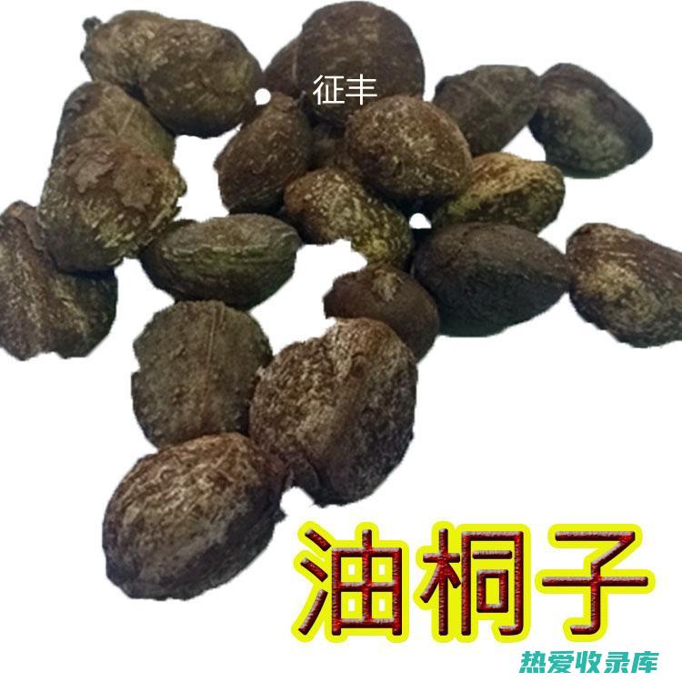 古老的药用及其现代