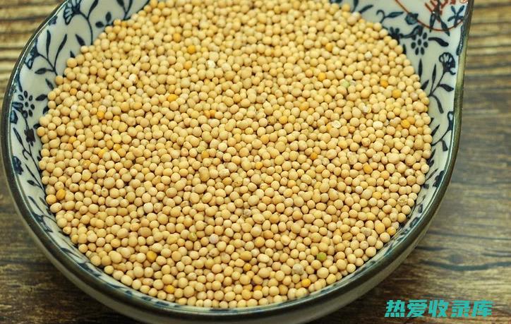 莱菔子的功效与作用：调理消化、抗菌消炎、抗氧化等 (莱菔子的功效和作用)