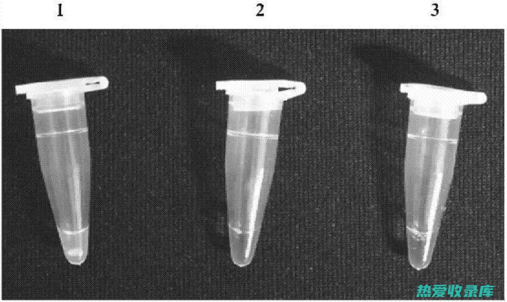 抗病毒：生桑白皮中的桑白皮苷、芸香苷等成分具有抗病毒作用，可抑制病毒的复制，预防和治疗病毒性感染。(抗病毒功效与作用点)