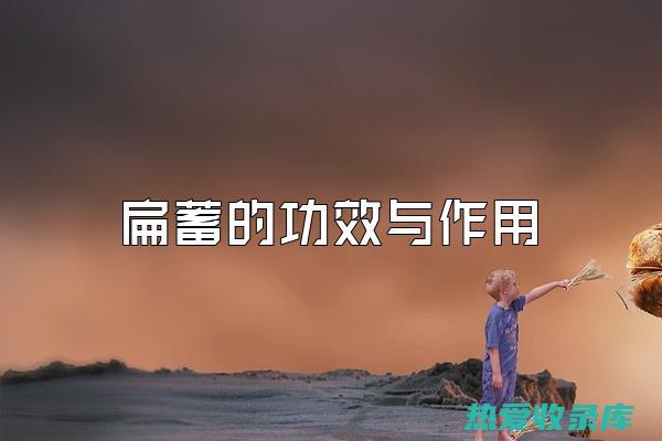 中药扁蓄：功效、用途及相关知识 (中药扁蓄功效)