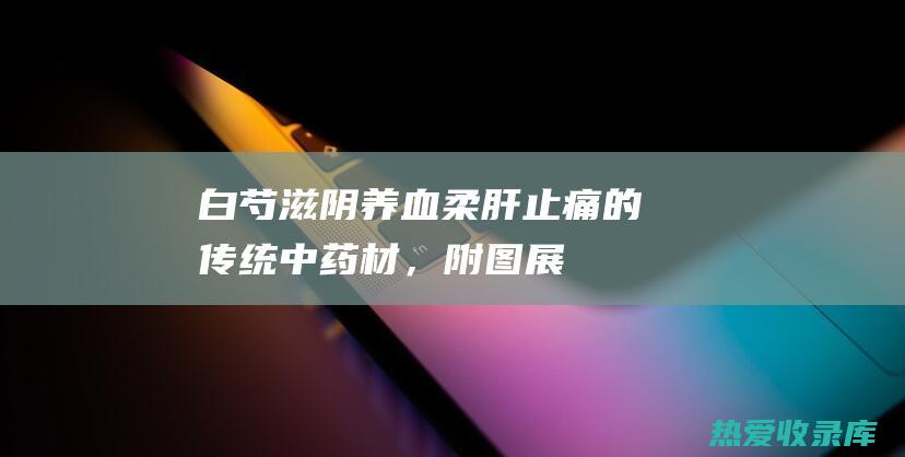 白芍：滋阴养血、柔肝止痛的传统中药材，附图展示其形态特征 (白芍滋阴吗)