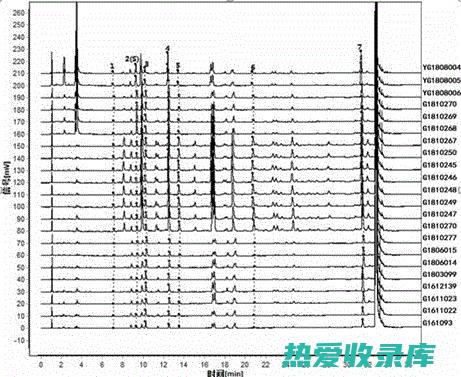 揭秘其作用与功效