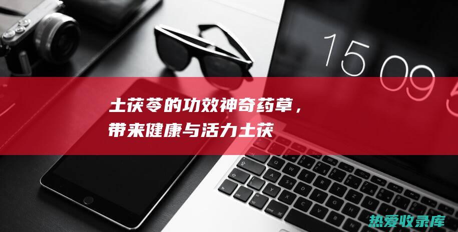 土茯苓的功效：神奇药草，带来健康与活力 (土茯苓的功效与作用图片)