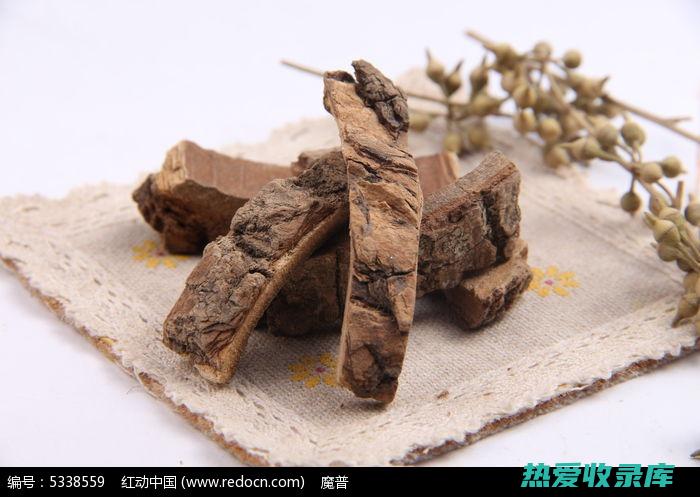 中药海桐皮的功效与作用 (中药海桐皮的别名)