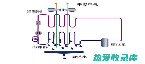 益气除湿的中药：缓解体内寒湿，提升元气 (益气除湿的中成药)