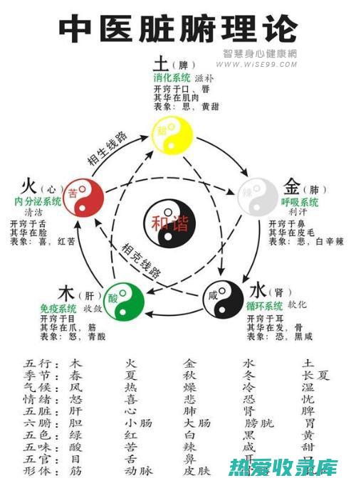 归经：肺、脾、大肠(归肺、脾经)