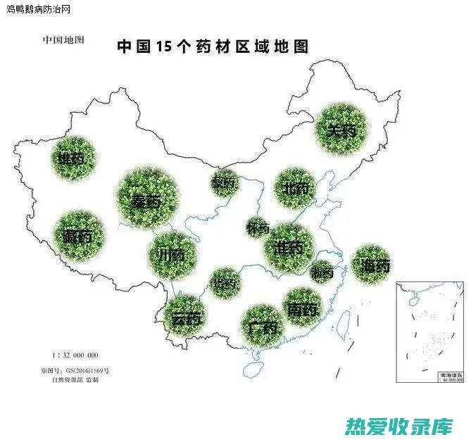 17个中药材批发市场：满足您的中药材采购需求 (17个中药材市场)