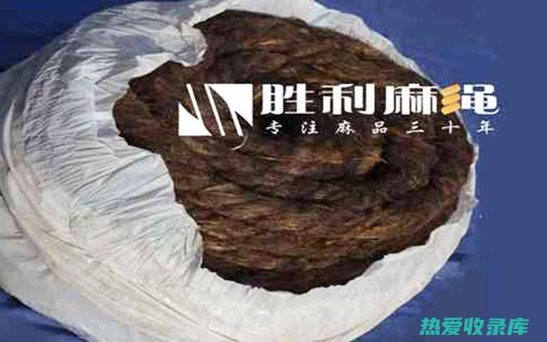 乌油麻的功效与作用