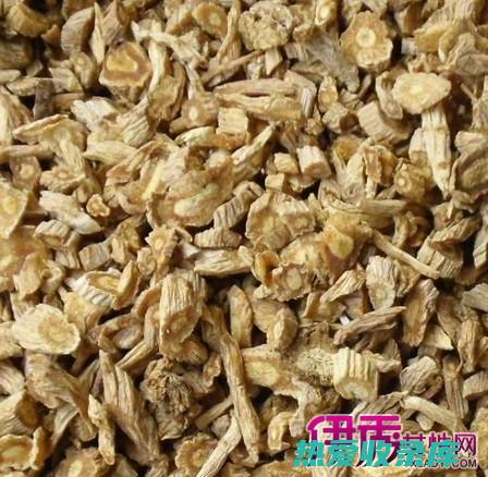 中药防风：功效与作用大盘点 (中药防风功效与作用是什么意思)