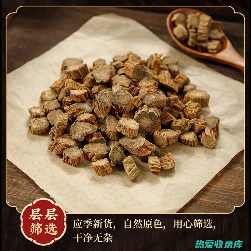 续断泡茶的功效 (续断泡茶的功效与禁忌)