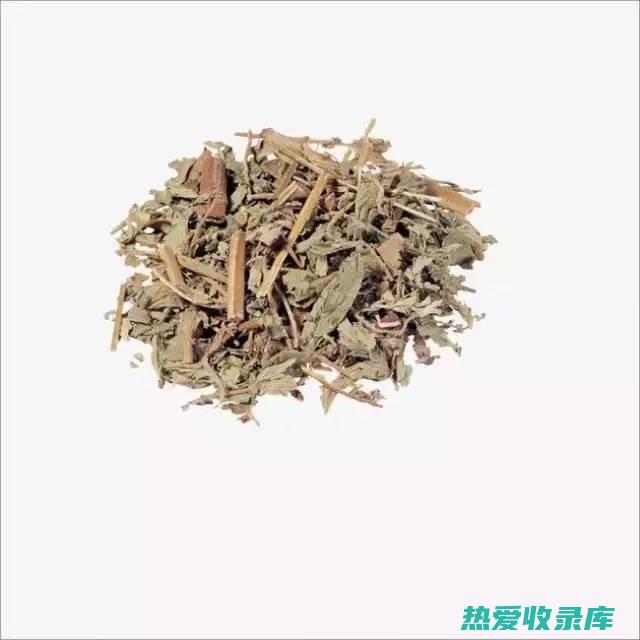 熬肉中药：传统滋补良方，提升健康活力 (煮肉中药)