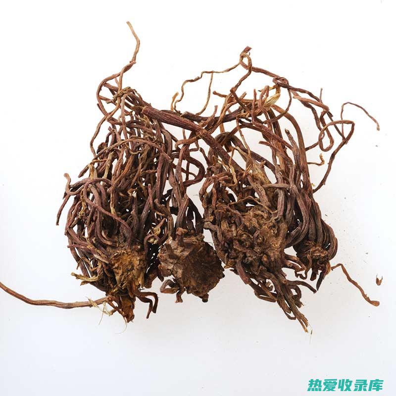 生紫菀，仙草药方，妙手回春 (生紫菀的功效与作用)