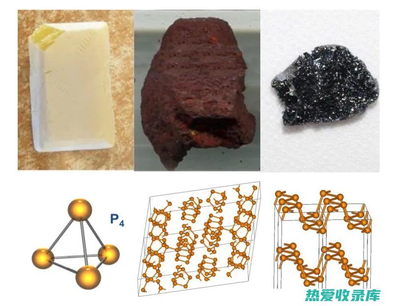 磷：维持骨骼和牙齿健康(磷对骨骼的重要性)