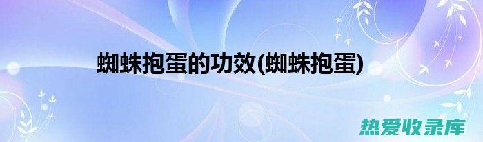 蜘蛛抱蛋的非凡功效与作用：深层次探索其药用价值和潜在用途 (蜘蛛抱蛋介绍)