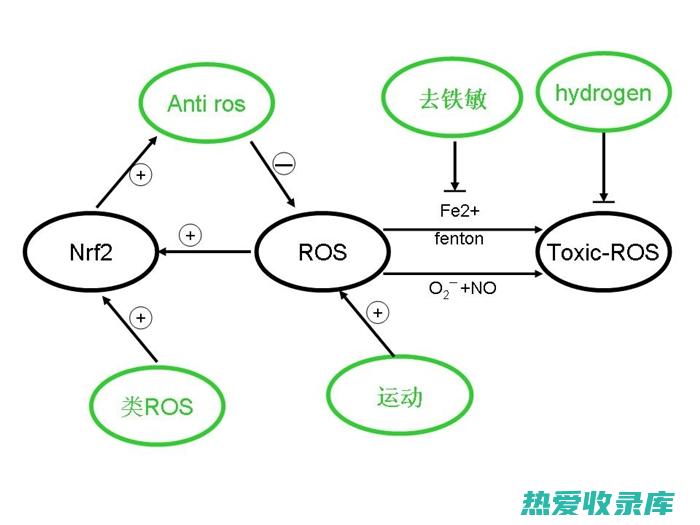 抗氧化