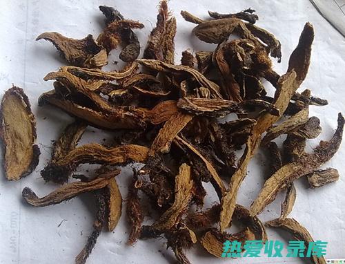 骨碎补的功效与作用与主治