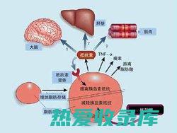 尿液的益处和用途 (尿液对人体的作用)