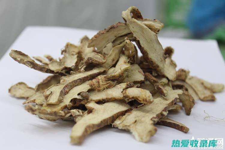 知母：功效与作用（中医药） (知母功效与作用是什么)